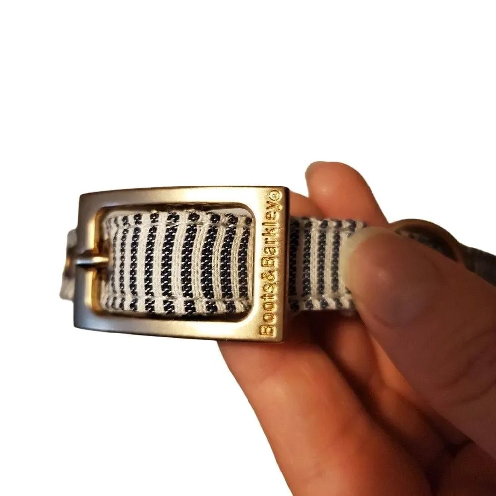 Boots and Barkley 13 inch Blue White Striped Gold Buckle Dog Collar